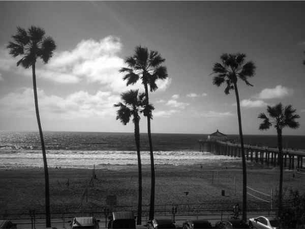 Introducing California Real Estate Experience